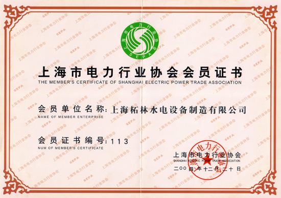 上海市电力行业协会会员证书